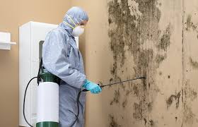 Forensic Mold Investigation in San Carlos, TX